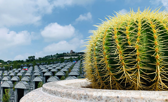 挑選沈陽墓地，位置與墓碑孰輕孰重？